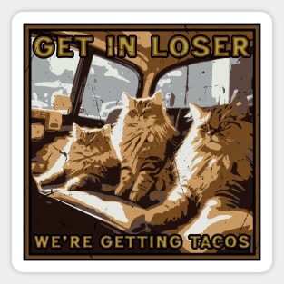 Get in Loser- We're Getting Tacos // Vintage Mean Cats Magnet